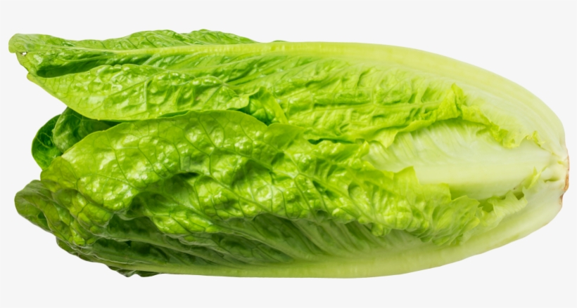 Lettuce - Vegetable, transparent png