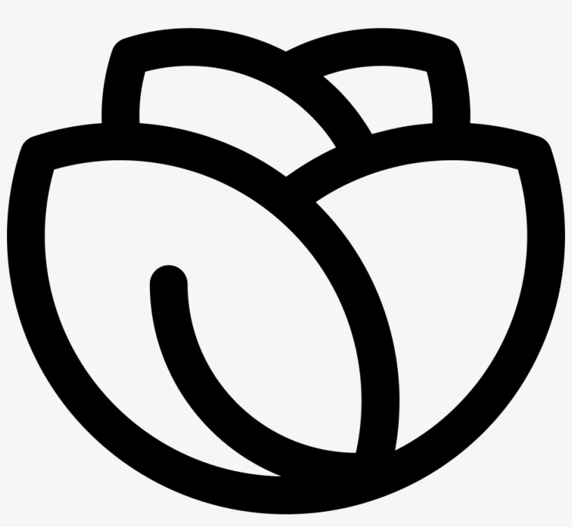 Png File - Lettuce Icon, transparent png