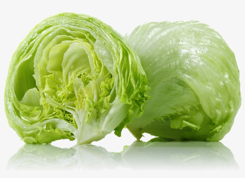 Iceberg Lettuce, transparent png