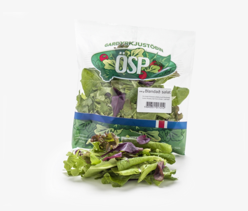 Lettuce Clipart Romaine Lettuce Vegetarian Cuisine - Salah, transparent png