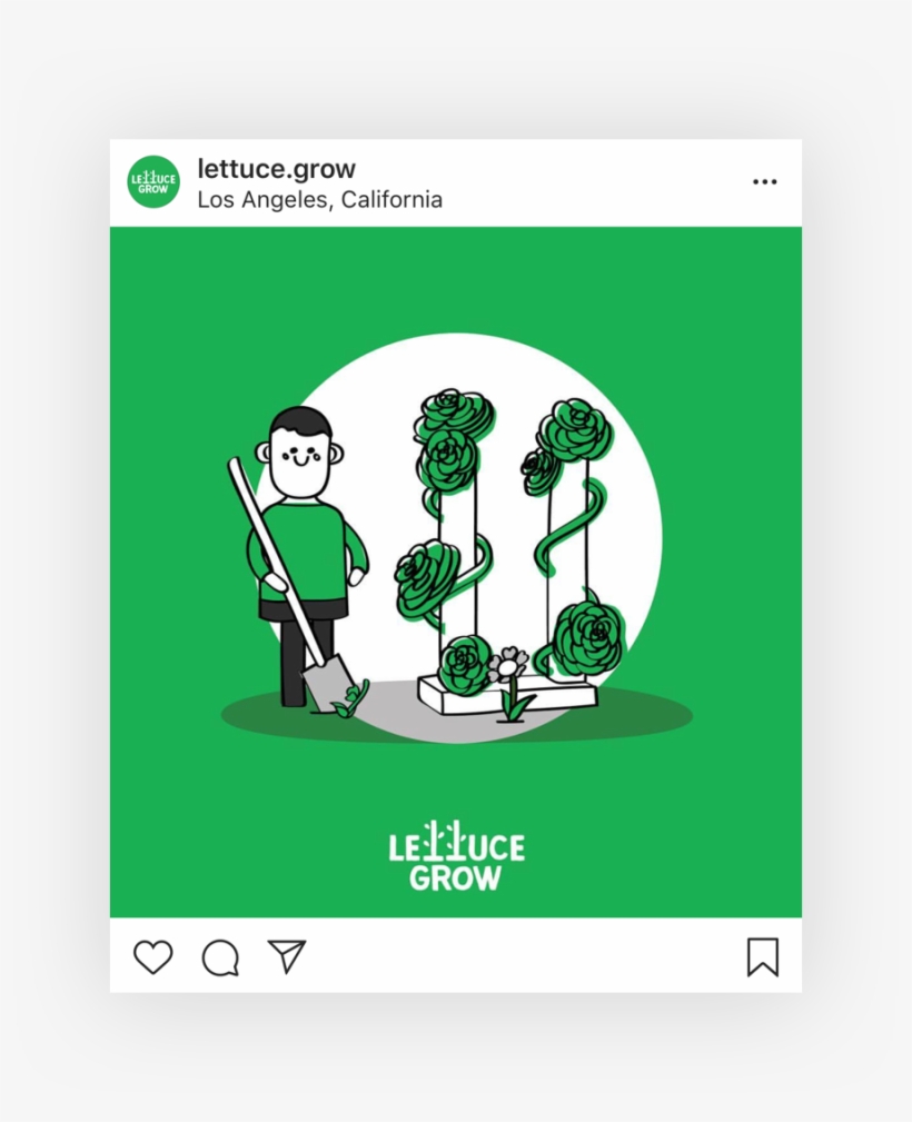 Lettuce Grow - Portable Network Graphics, transparent png