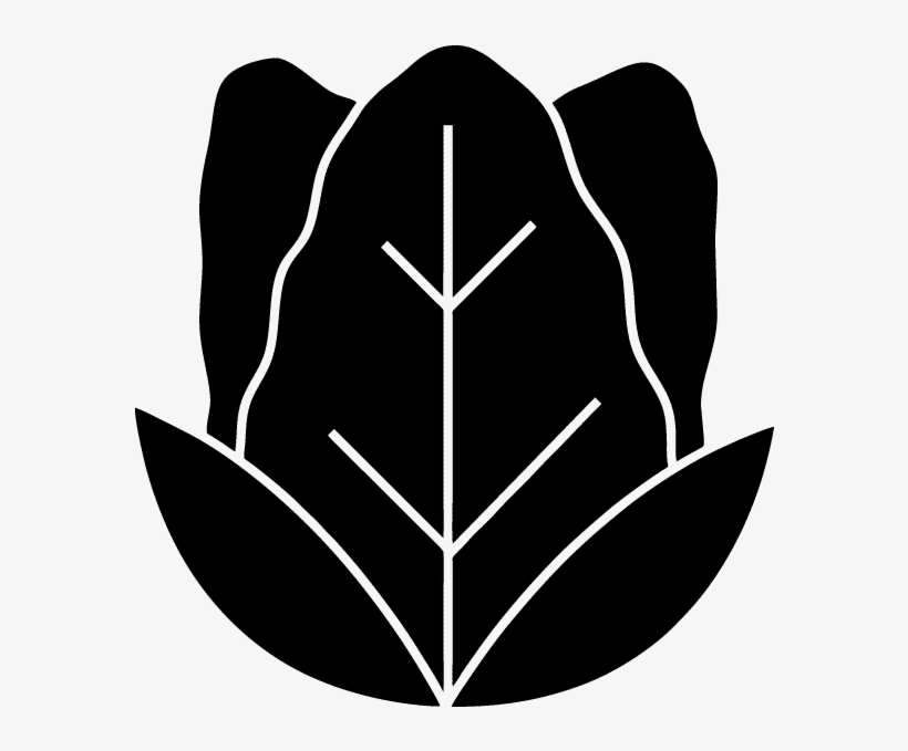 Lettuce - Emblem, transparent png