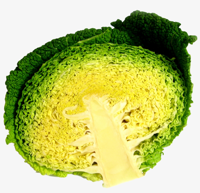 Cabbage Half Png Image - Portable Network Graphics, transparent png