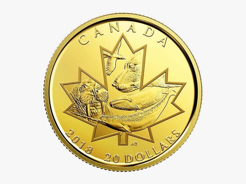 Pure Gold Coin - Coin, transparent png