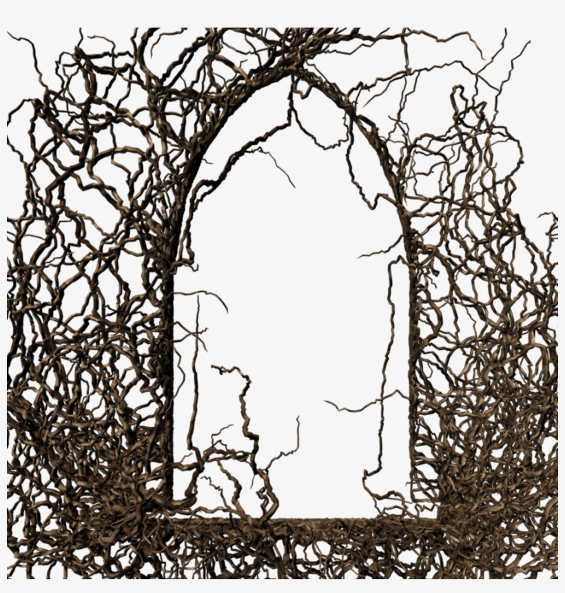 Picture Free Frame By Brokenwing Dstock On Deviantart - Gothic Frame Png Transparent, transparent png