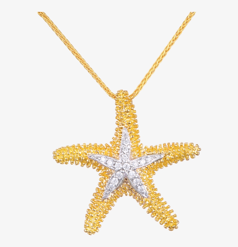 2015 04 25 14 01 06 Dw Upss22d - Star Fish Pendant, transparent png