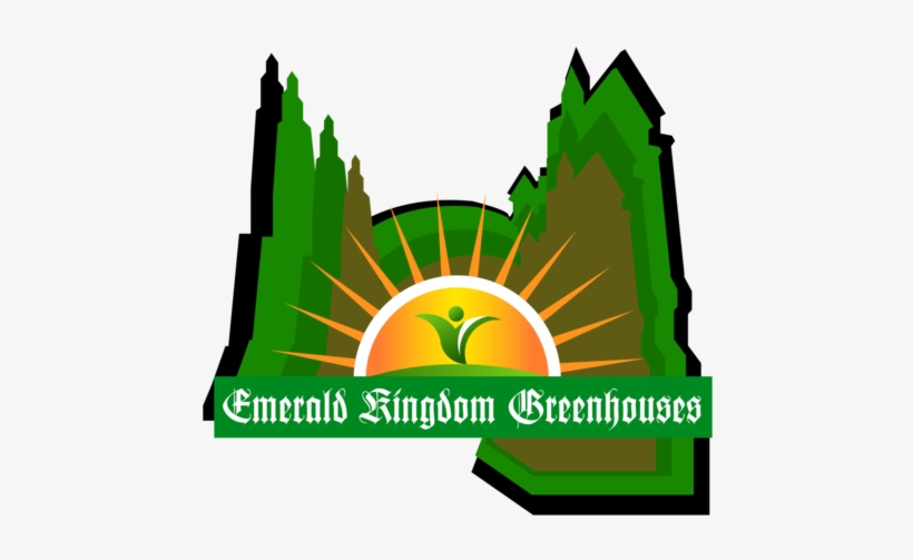 True Norwegian Black Metal: Live In Grieghallen, transparent png