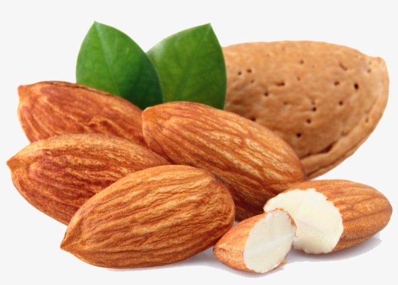 Almond Free Download Png - Dry Fruit Clip Art, transparent png