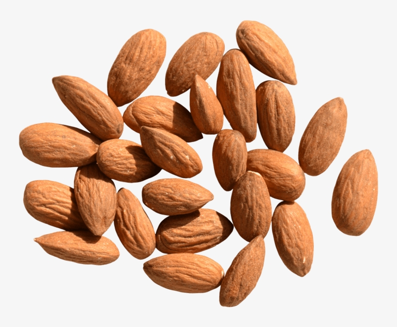 Free Png Almond Png Images Transparent - Almond Png, transparent png