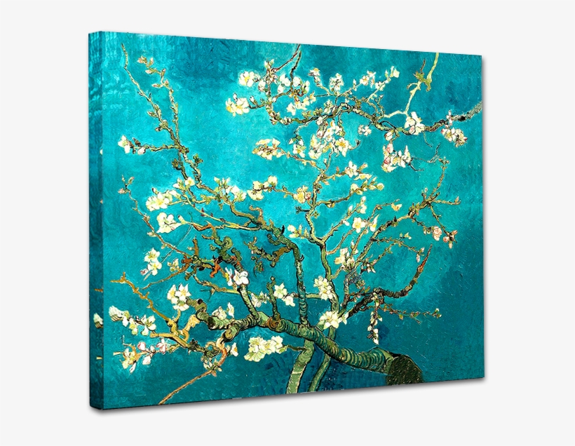 Almond Blossom Van Gogh Museum - Branches Vincent Van Gogh, transparent png