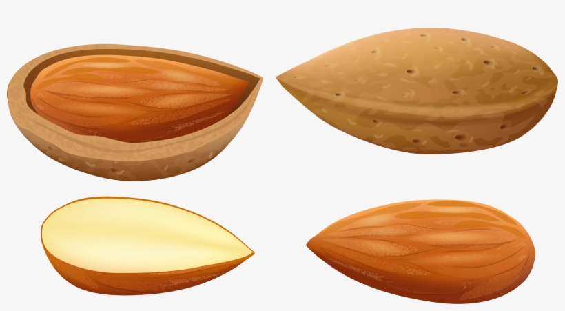 Almonds Png Clip Art - Almonds Clipart, transparent png