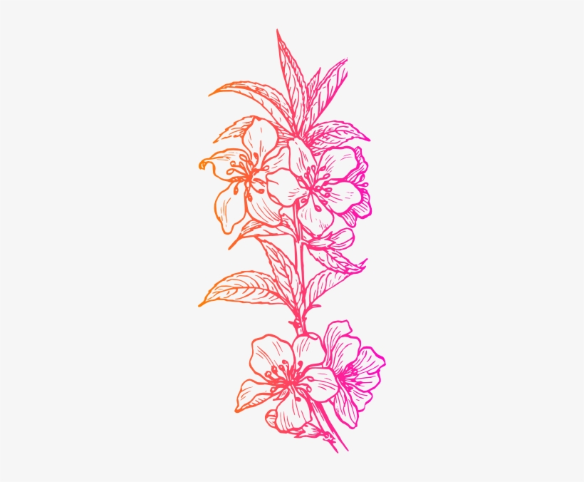 Almond Clipart File - Plant Clip Art, transparent png