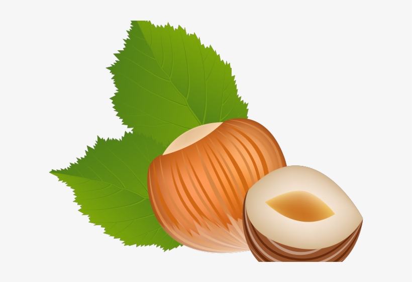 Autumn Free On Dumielauxepices - Hazelnut Clipart, transparent png
