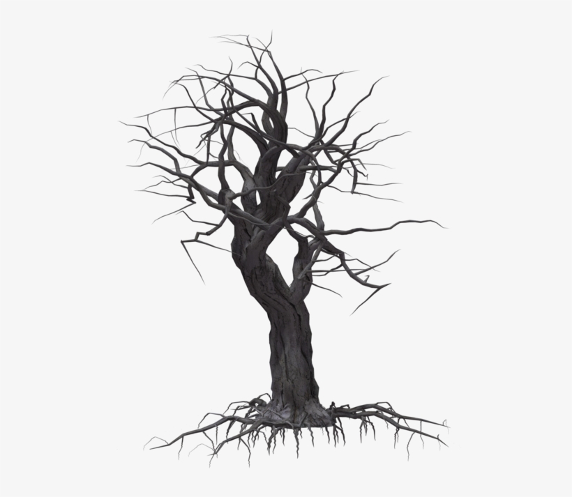 Creepy Tree 05 By Wolverine041269 On Clipart Library - Creepy Tree Transparent, transparent png