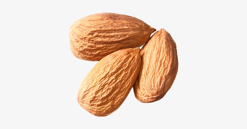Isolated-almonds3 - Almond, transparent png