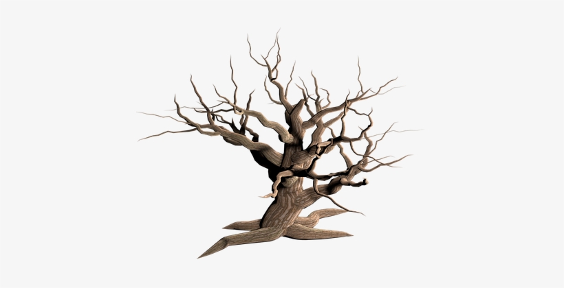 Tree Isolated Dead Plant Weathered Old Mor - Dry Tree Png, transparent png