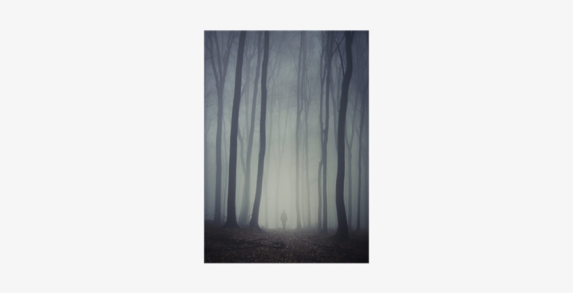 Man Walking On Path Through Spooky Dark Forest Poster - Still Life, transparent png
