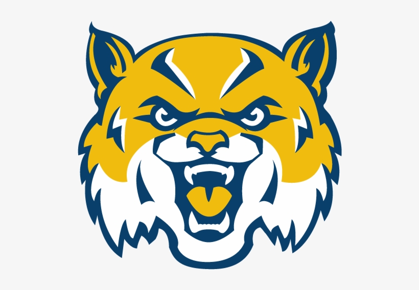 Mascot Vector Bobcat Clipart Royalty Free Stock - Star Spencer High School Mascot, transparent png