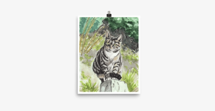00 $28 - Tabby Cat, transparent png