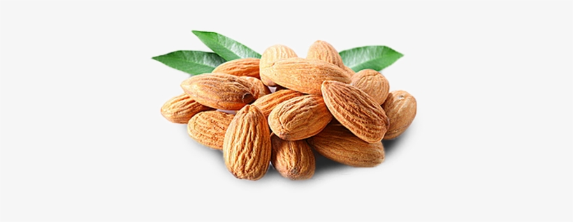 Almond - Роберт Дауни Младший Png, transparent png