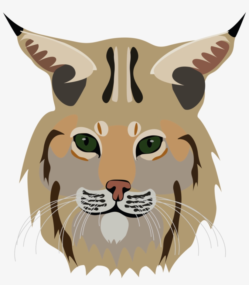 Prev / Next, transparent png