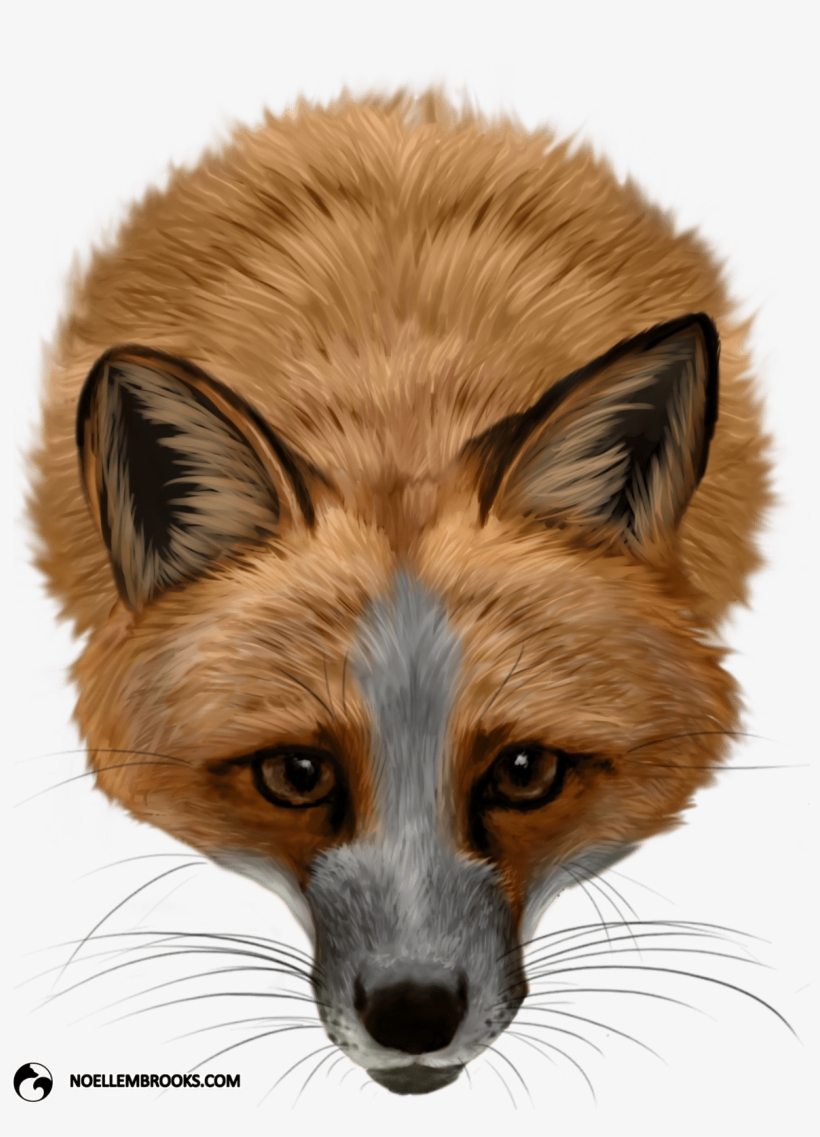 Pet Fox Cases - Silver Fox Red Fox, transparent png