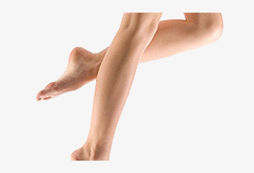 Legs Png Transparent Images - Legs, transparent png