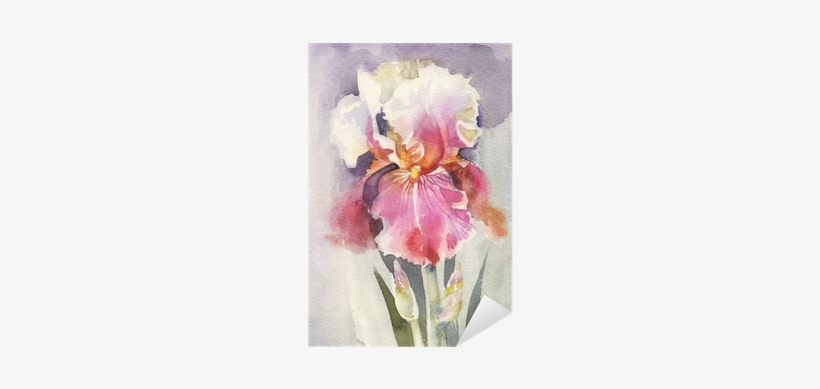 Watercolor Painting, transparent png