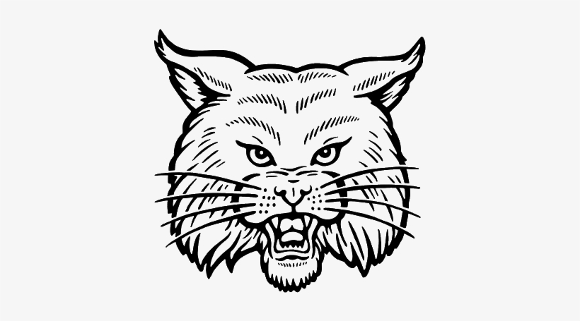 Transparent Bobcat - Art Print: Pop Ink - Csa Images' Bobcat, 30x30in., transparent png