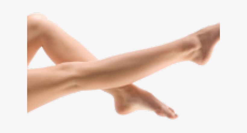 Legs Png Background Image - Legs, transparent png
