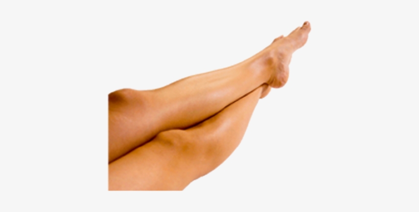 Best Free Legs Icon - Legs Png, transparent png