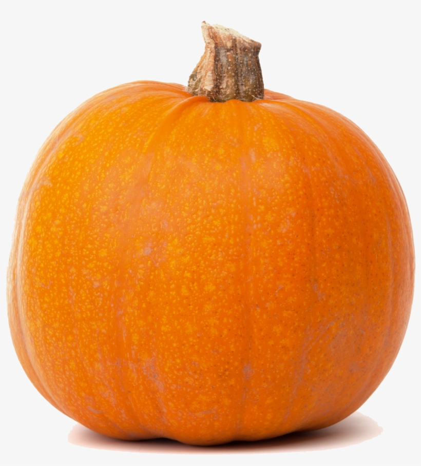 Real Pumpkin Transparent Png - Pumpkin Clipart Transparent Background, transparent png