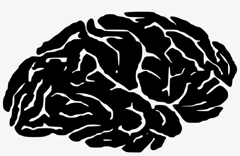 Clipart Brain Transparent Danasria Top - Brain Silhouette, transparent png