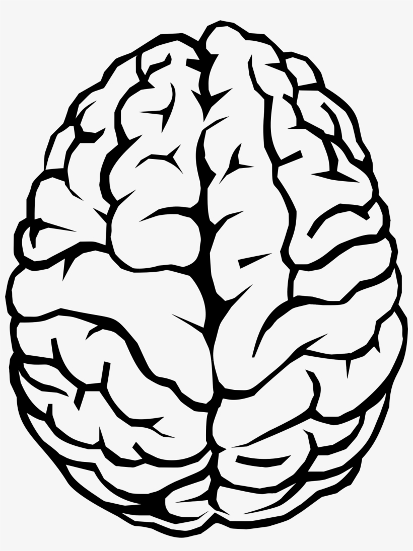 Brain Line Drawing At Getdrawings - Brain Clipart, transparent png