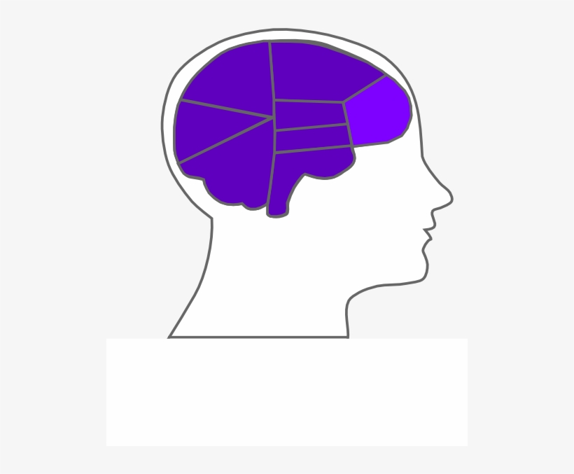 How To Set Use Head And Brain Outline Svg Vector, transparent png