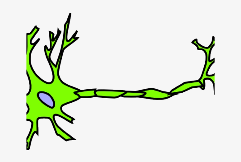 Neuron Clipart Green - Neuron Clipart, transparent png