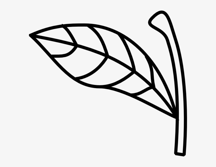 Download Image Transparent Library Airplane Travel - Apple Stem And Leaf, transparent png