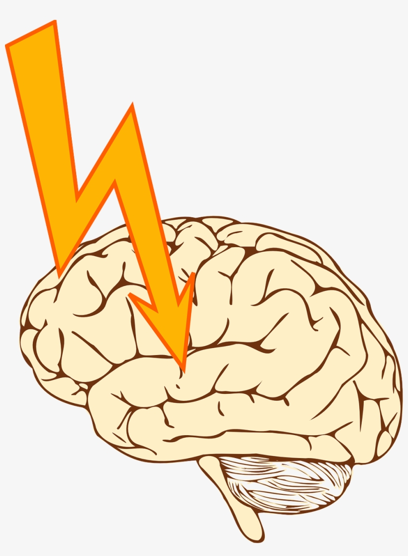 Brain Clipart Epilepsy - Stroke Clipart, transparent png