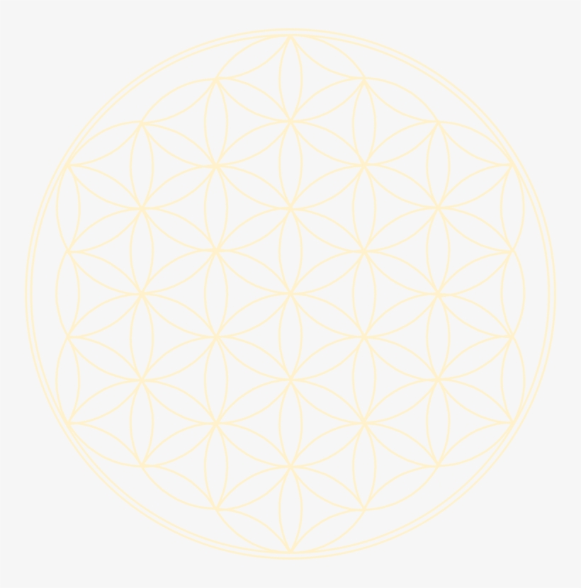 Symmetry Line Point - Flower Of Life, transparent png