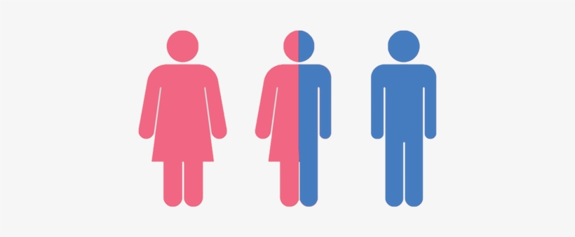 Gender Png Transparent Image - Estructura De La Poblacion, transparent png