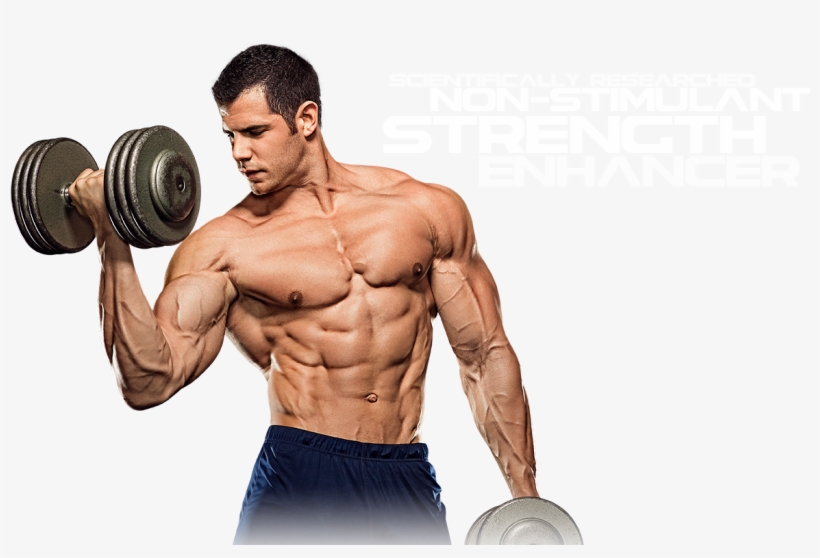 Muscle Png Images All - Weight Training, transparent png