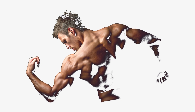 Bodybuilder - Body Building Logo Png, transparent png