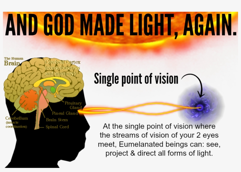 Uni-and God Made Light Again - Teaching Mcqs In Neuroscience, transparent png