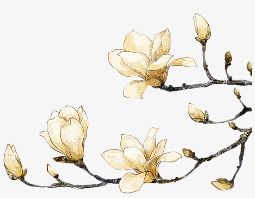 Image Freeuse Library Painting Flower White Peach Transprent - Long Chains On 925 Sterling Silver Earrings Earrings, transparent png