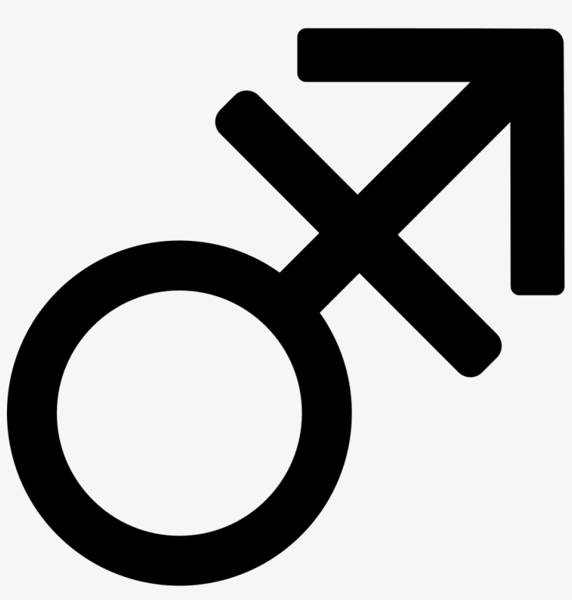 B Management Gender Comments - Transgender, transparent png