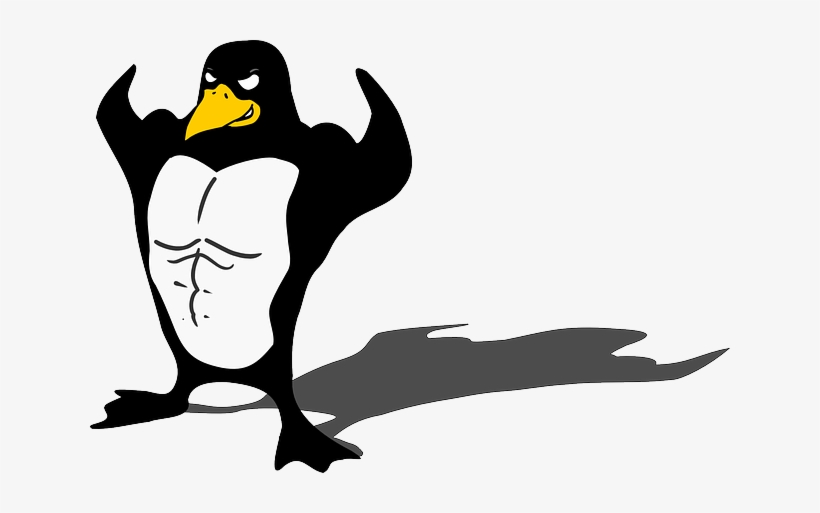 Penguin, Bodybuilder, Linux, Muscle, Tux, Animal, Funny - Bodybuilder Penguin, transparent png