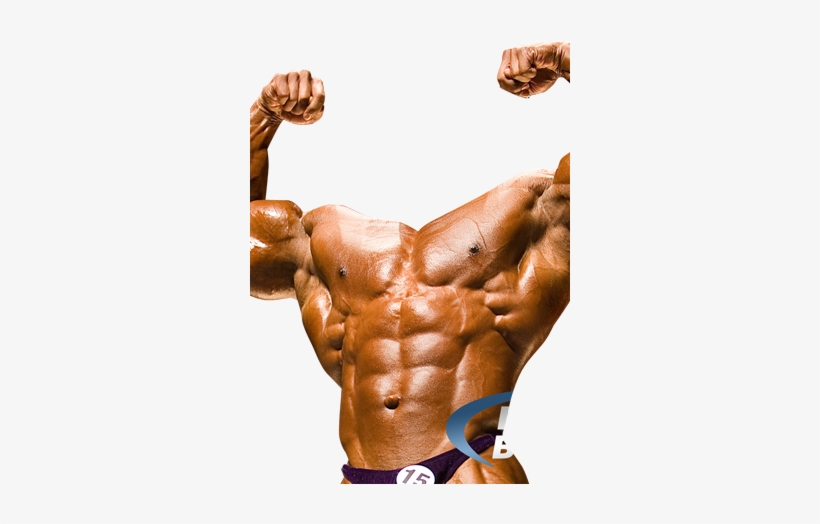 Free Bodybuilder Photo - Bodybuilder Photo Montage, transparent png