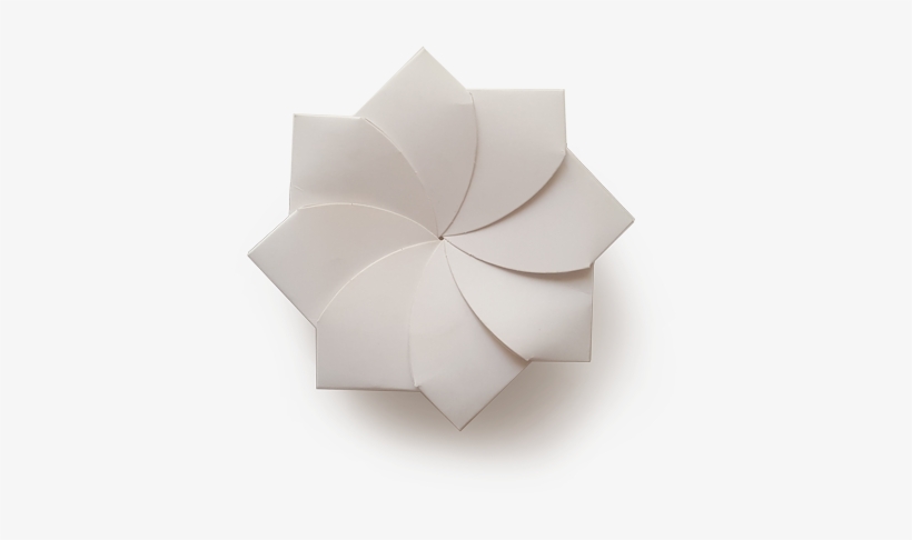 Magnolia, transparent png