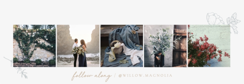 Willow & Magnolia Ig Follow-10 - Instagram, transparent png