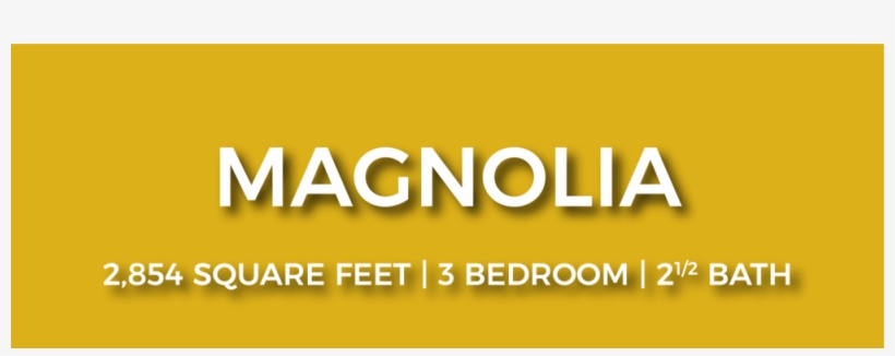 Magnolia Nofp-01 - Graphic Design, transparent png